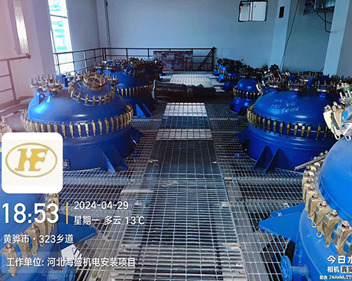 河北海盛药业有限公司年产50t氨磺必利原料药项目
