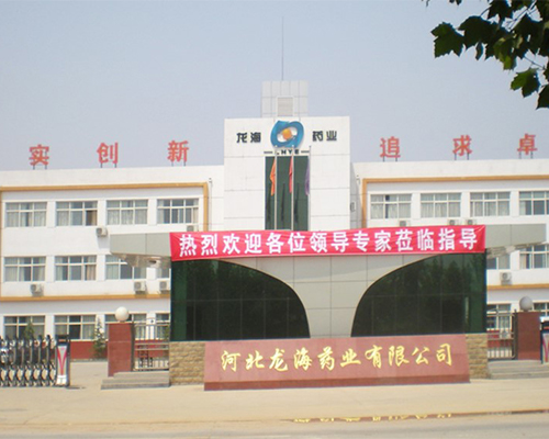 河北龙海药业医药产业园项目机电工程总包